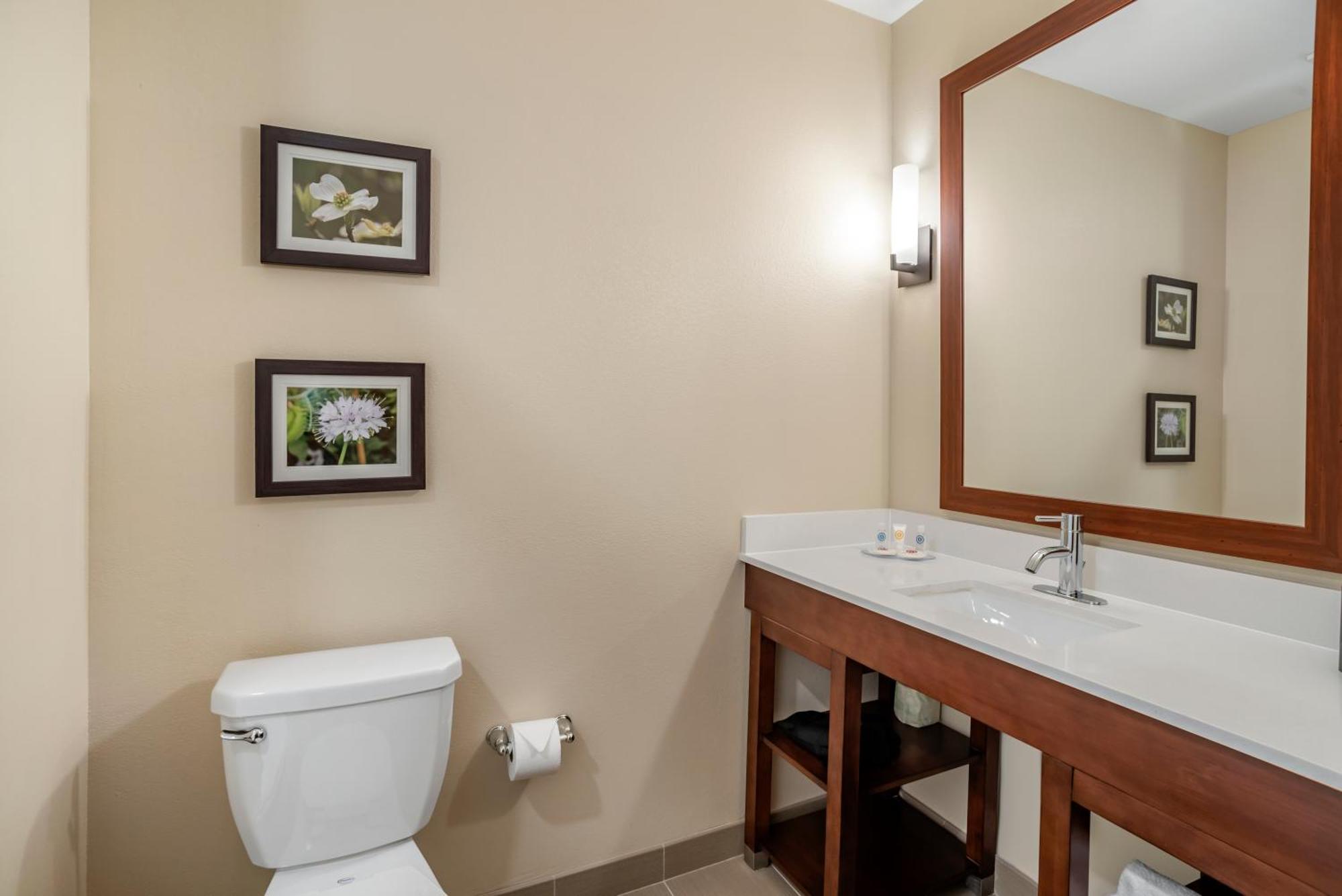 Comfort Inn & Suites Winchester Room photo