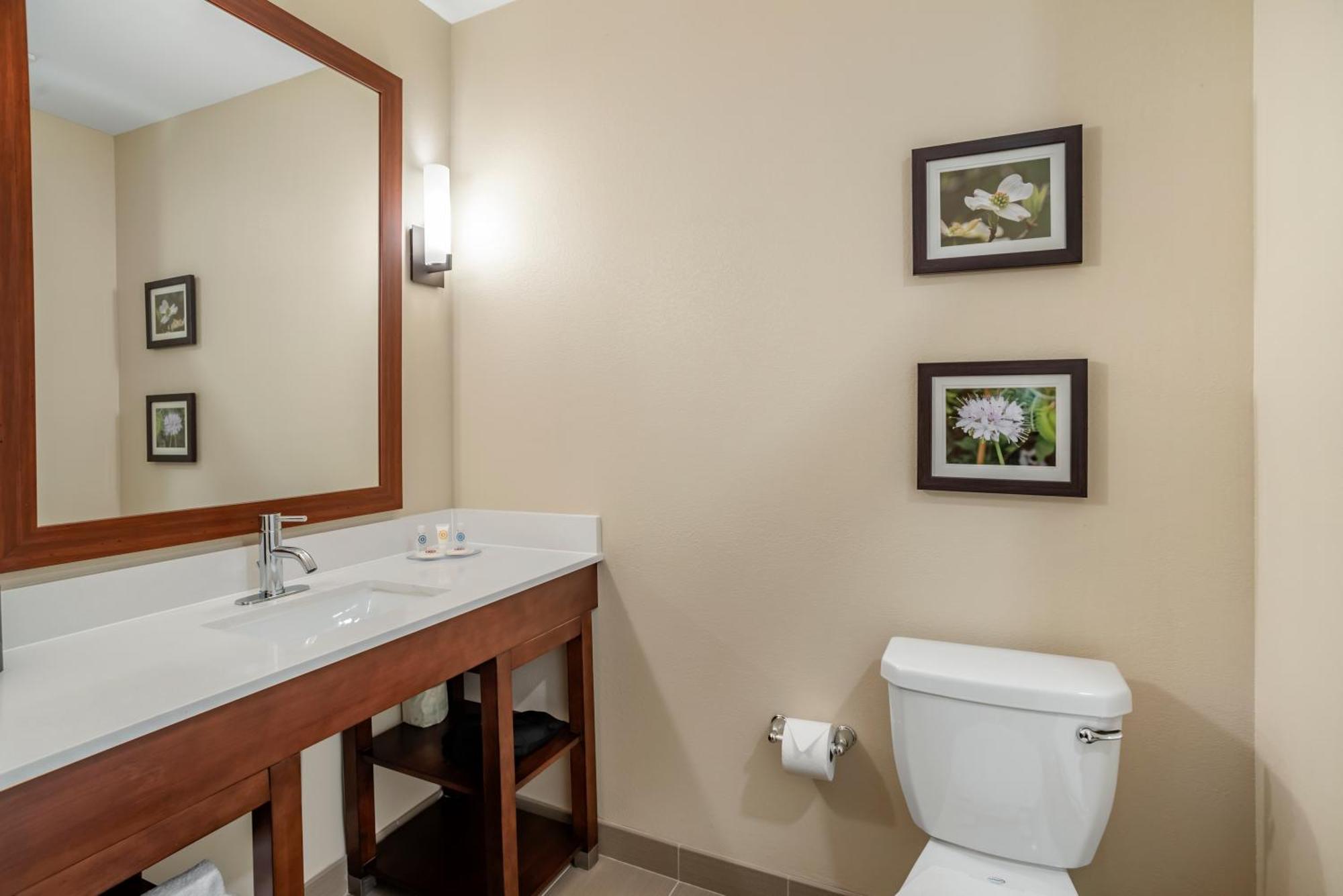 Comfort Inn & Suites Winchester Room photo